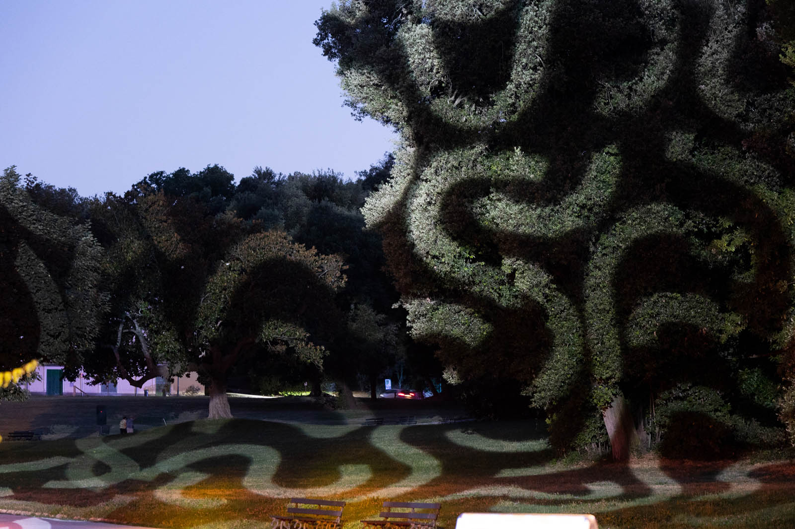 Ctf_12072022_il_cacc_d_Nazisti_Ph_SalvatorePastore_S2A0236